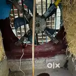 Steel coolar in good condition