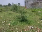 2000 square feet plot risali dhanora k bich mein hai