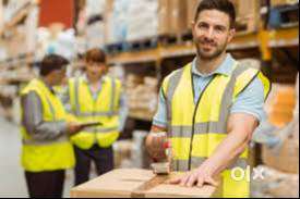 Sorting and packing Job