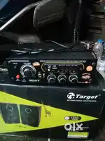 Target speaker with amplifier