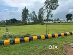 Best thing for investment