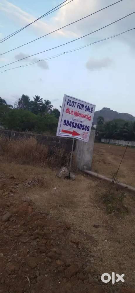 House plot 30 cents for immediate sale