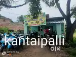 Sell my plot & house kantaipalli 38*1.70lk