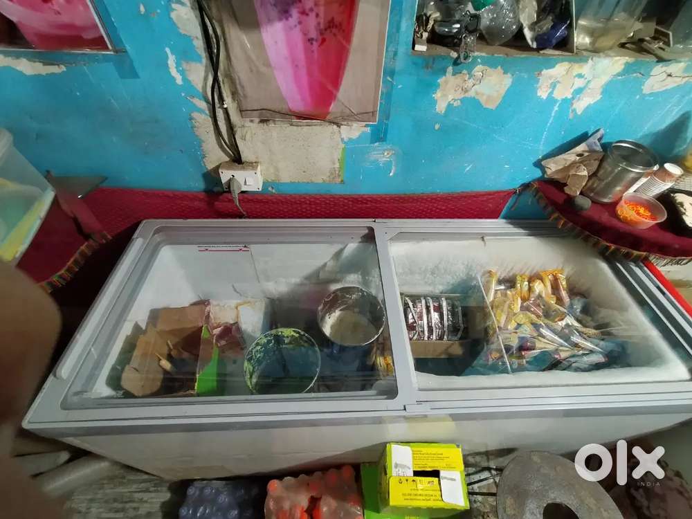Blue Star Deep Freezer