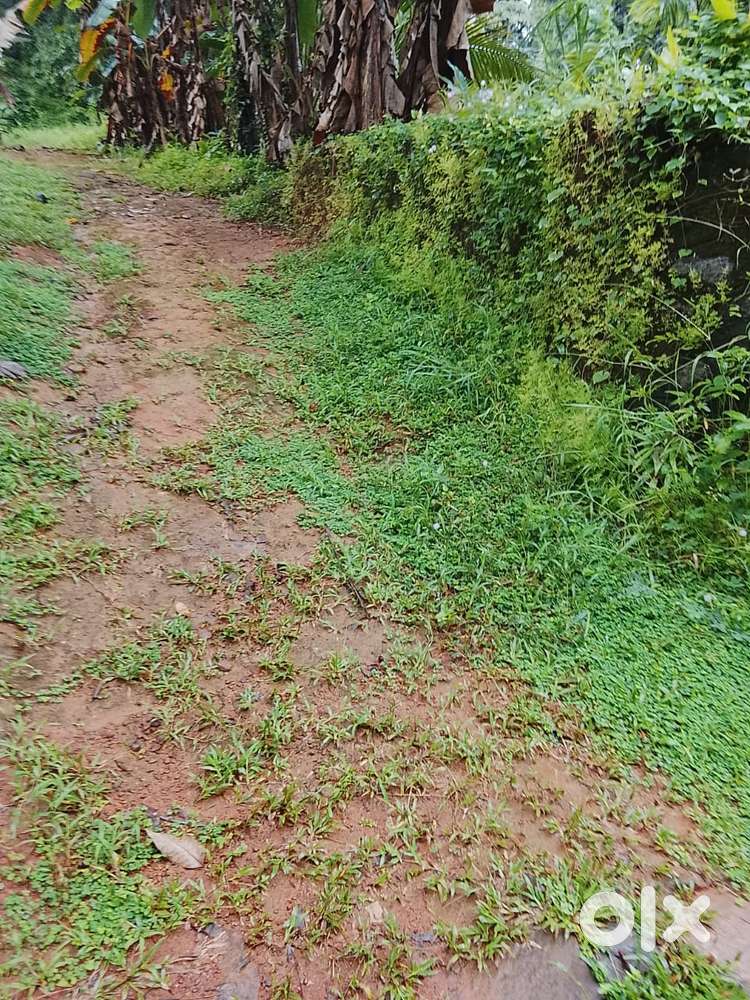 20 CENT COMMERCIAL LAND FOR SALE MOOZHIKAL CALICUT