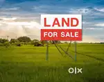 Land & House for Sale