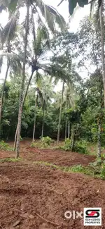 House plot for sale near Pattambi, Palakkad