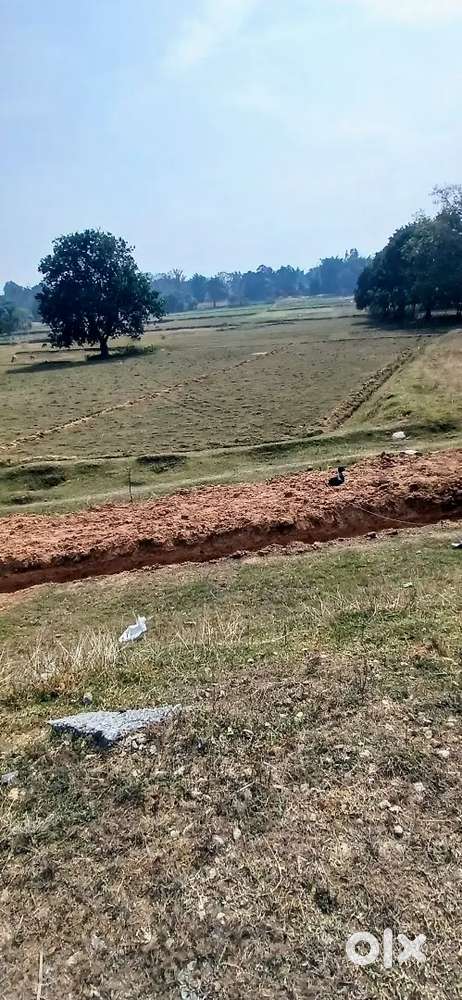 Sisai Nh43 bypass pandariya