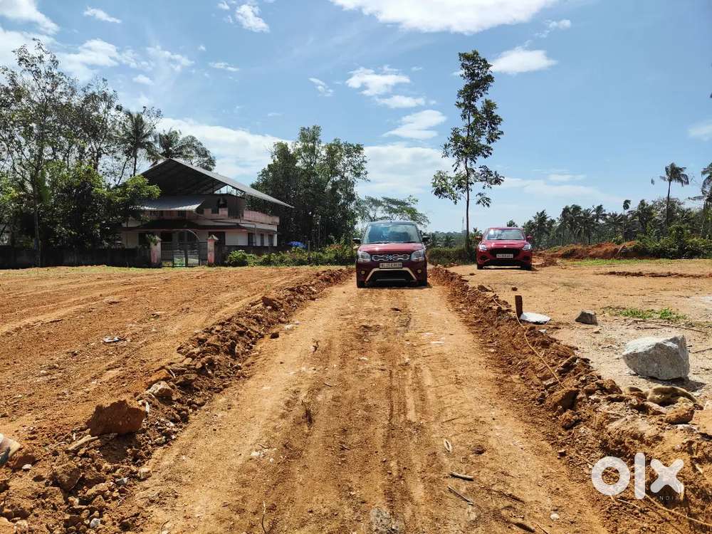 5 cent, 7 cent, 10 cent Plots low price