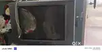 Sony old tv