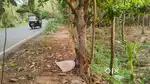 29.25 cent plot for sale in eranhikkal