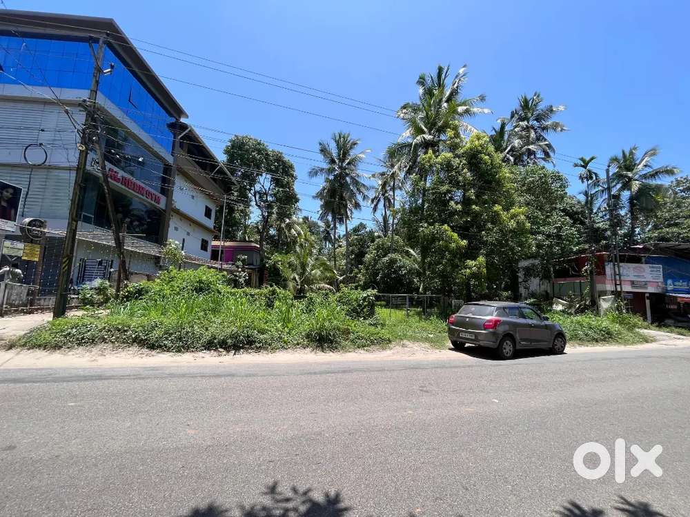 11lakh per cent negotiateble Plot for sale in guruvayoor 1 acr 1cent