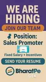 BharatPe Sales Promotor