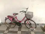 Miss India Gold Cycle