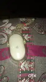 APPLE MOUSE