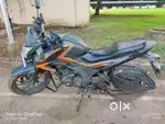 Honda Hornet