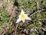 8marle plot for sale urgent