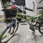 Gear cycle