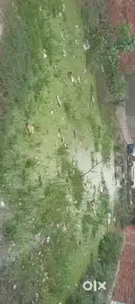 Palat Address gadi rod janta mante school wali gali