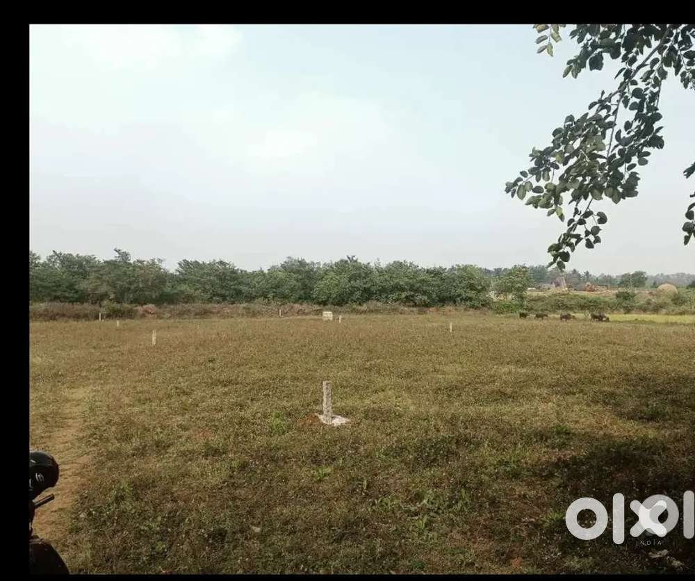 11gunta 8 ane at giriyal katnur old hubli near by nekarnagar