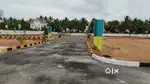 Good investment  Dtcp approved plot for sale near Trichy