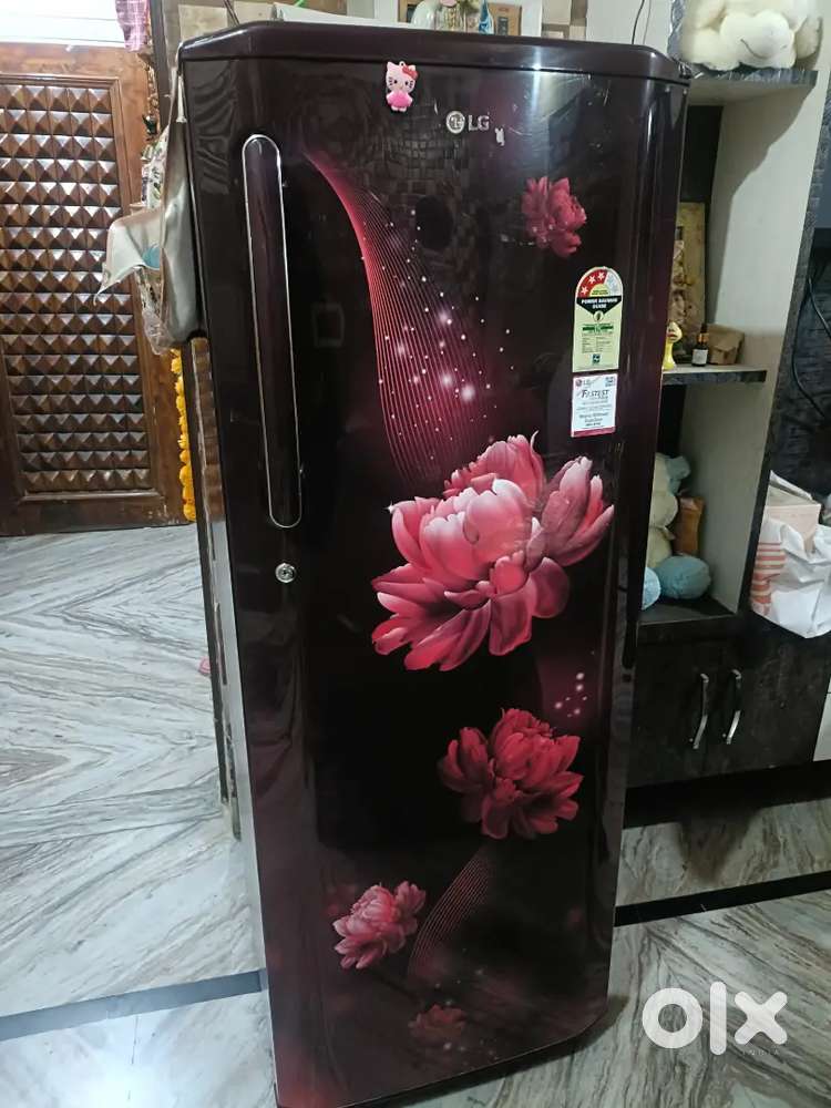 LG fridge 5years old