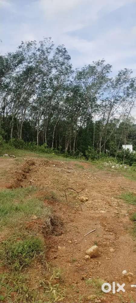18.5 cent plot for sale near perumala mosque