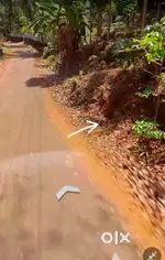 40 cent land for sale in vellarikund