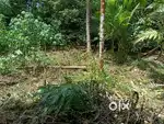 മാള മടുത്തുപടിയിൽ 12 സെന്റ് സ്ഥലം വില്പനക്ക്