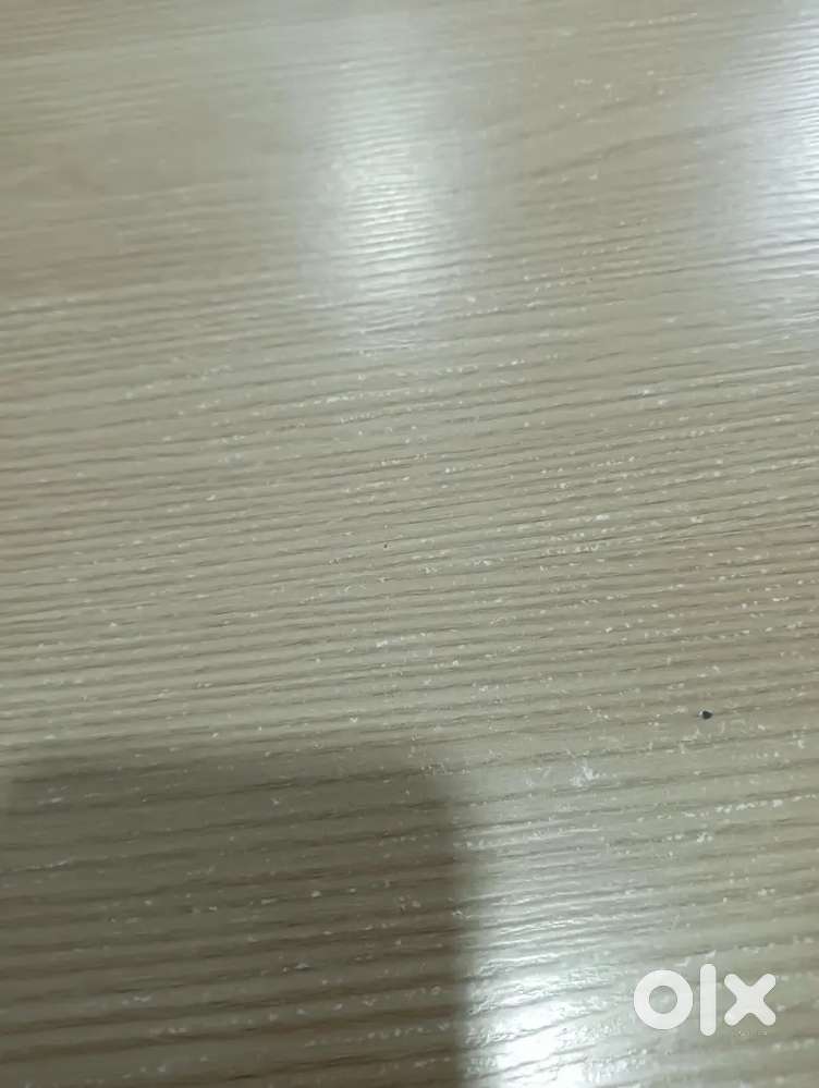 Need female roommates and job person only