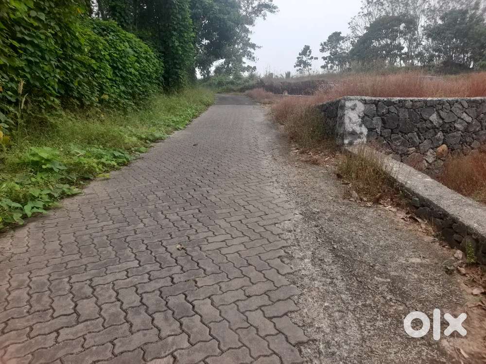 Pallikkara vembilly 60cent plot for sale.