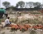 5100 देकर प्लॉट अपना नाम पर करवाए निवेश के लिए सबसे अच्छा निवासी प्लॉट
