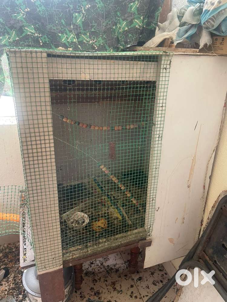 Wooden Mesh Box (Multi-Purpose