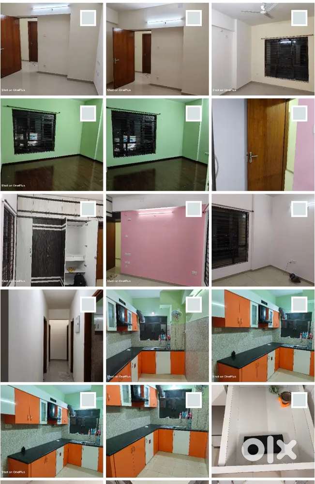 3 bhk flat for rent