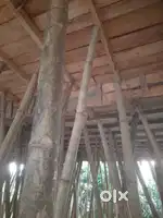 Shuttering for building materials one time use
