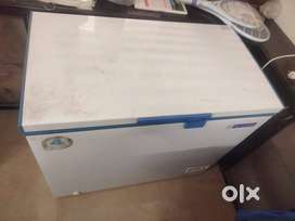 Blue Star Deep Freezer