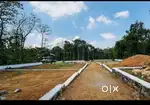 കുറുപ്പംപടിക്ക് സമീപം വീട്/പ്ലോട്ട് വില്പനയ്ക്ക് -പെരുമ്പാവൂർ