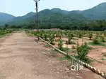 250 Sqy plot sale, monthly 10k, yearly 4 lks, after 12years 4cr retten