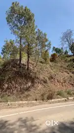 Roadside land for sale near Ramshehar, Himachal Pradesh - 32 Biswas