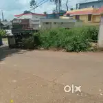 Heart of the Adoor