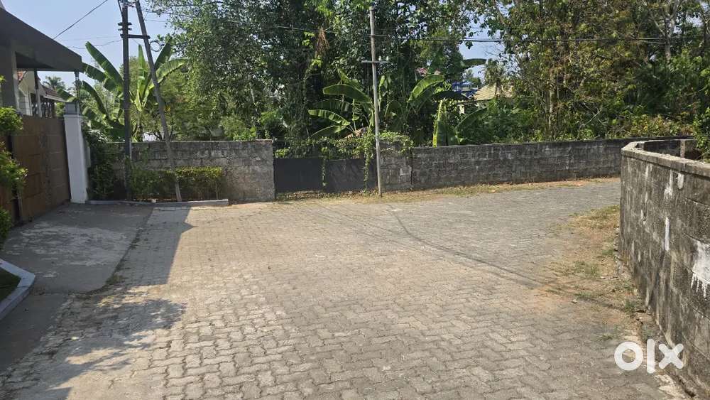 Urgent sale Kalamassery  14 .75  cent prime land  14 lack per cent