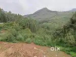 1 acre Land for sale koviloor vattavada