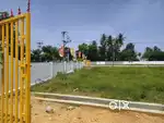 Open plots at a low cost in Nagari