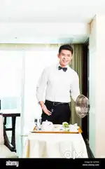 Urgently wanted Steward
