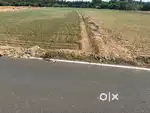 Agriculture land / agricultural land