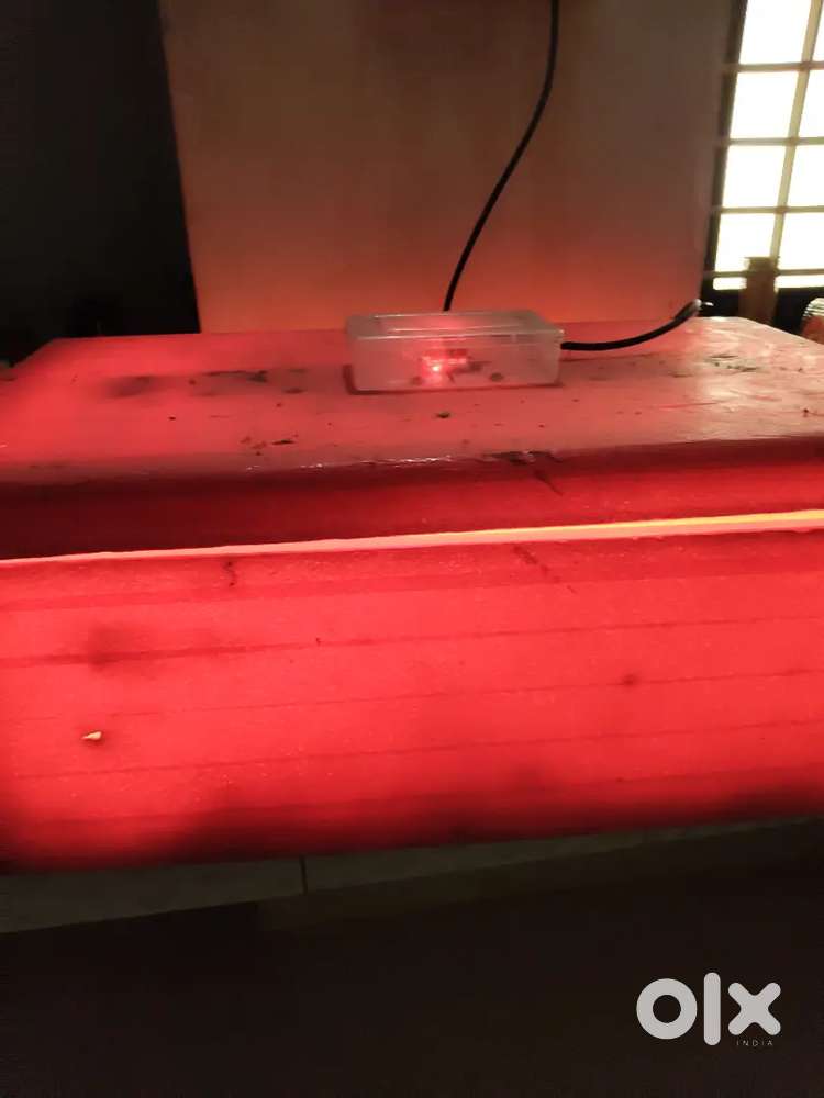 Egg Incubator