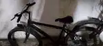 Stunts Cycle