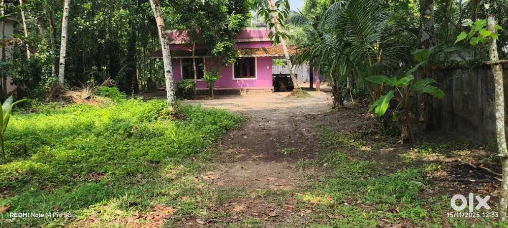 15.5 cent plot with 1000sq.ft house for sale location kalayamkulam