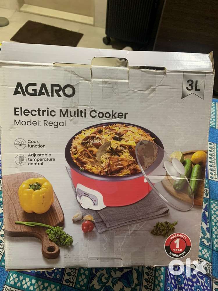 Multi specialty electric cooker