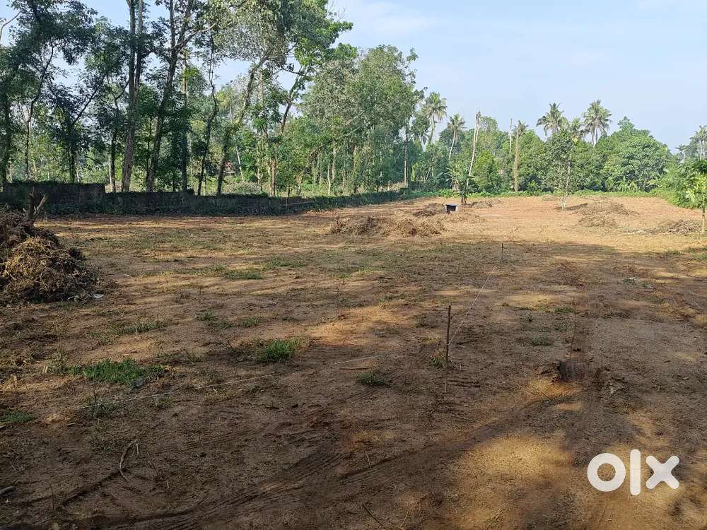 Silver Spring Villas- Thrikkalathoore House Plot.